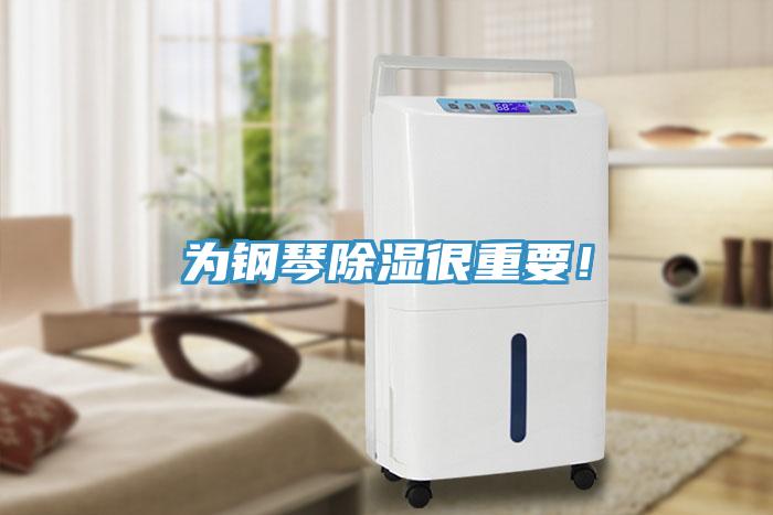 為鋼琴除濕很重要！