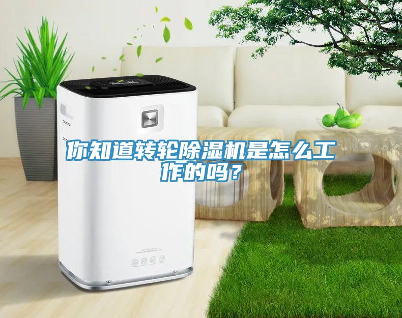你知道轉(zhuǎn)輪除濕機是怎么工作的嗎？