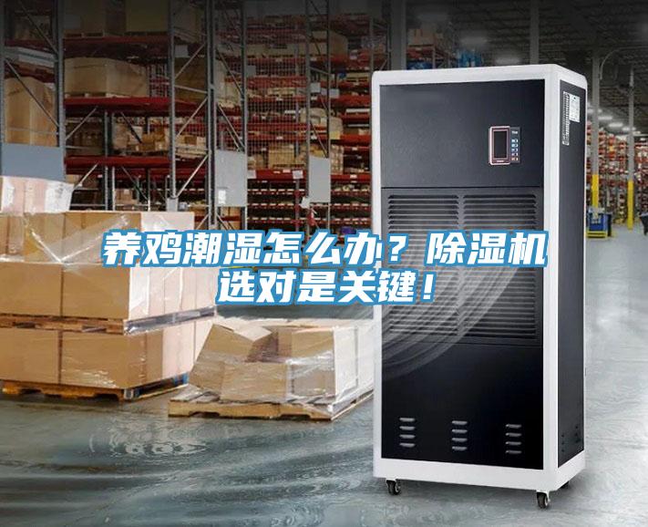 養(yǎng)雞潮濕怎么辦？除濕機選對是關(guān)鍵！