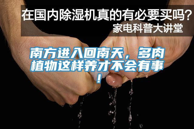 南方進入回南天，多肉植物這樣養(yǎng)才不會有事！