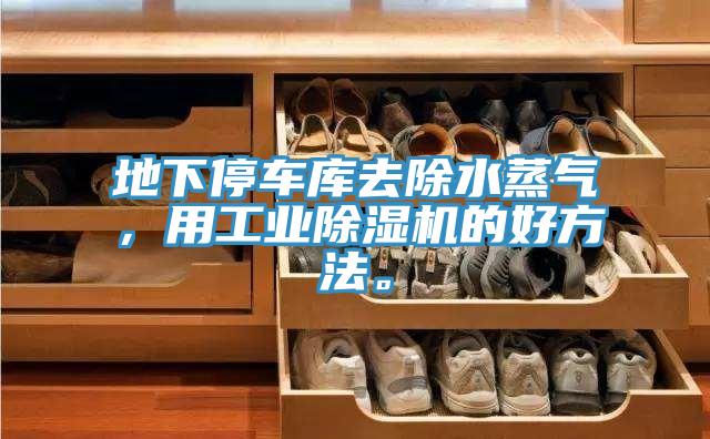 地下停車庫去除水蒸氣，用工業除濕機的好方法。