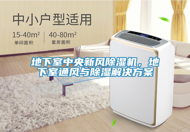 地下室中央新風除濕機，地下室通風與除濕解決方案