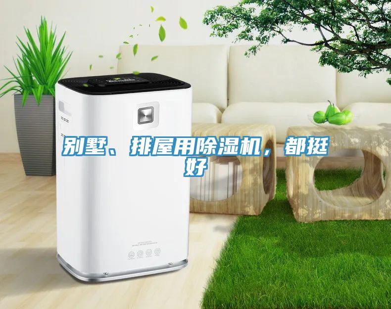 別墅、排屋用除濕機(jī)，都挺好