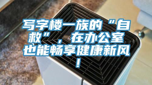 寫字樓一族的“自救”，在辦公室也能暢享健康新風！