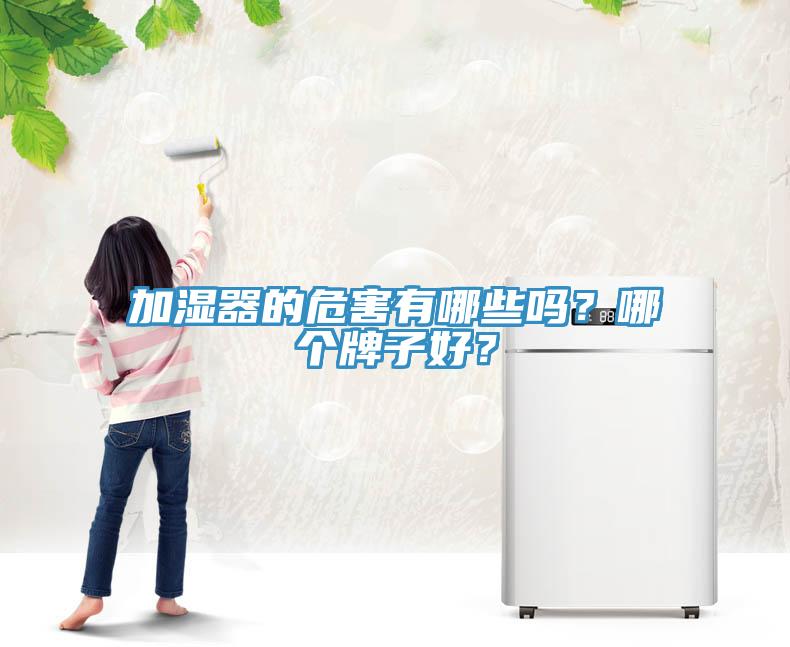 加濕器的危害有哪些嗎？哪個(gè)牌子好？