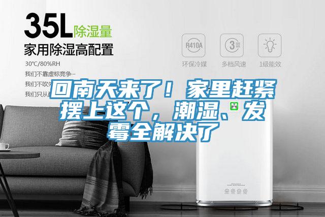 回南天來了！家里趕緊擺上這個，潮濕、發(fā)霉全解決了